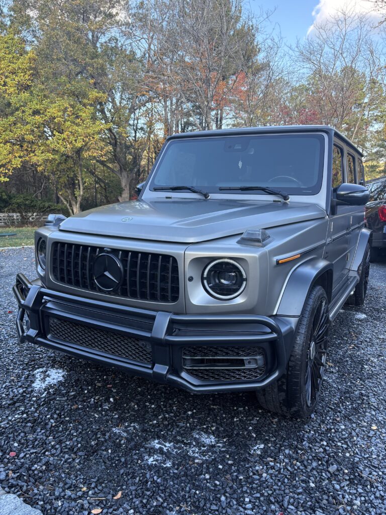 IMG 2019