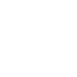 icon checklist1
